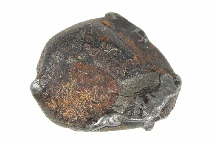 Sericho Pallasite Meteorite ( g) Metal Skeleton #383194